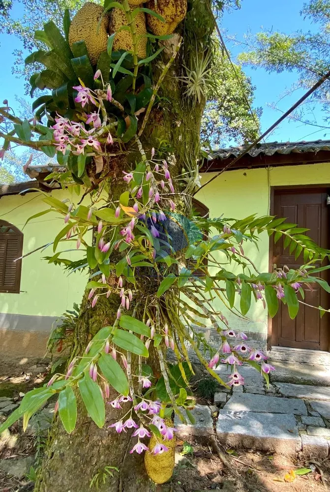 Casa, 4 quartos, 240 m² - Foto 21