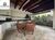 Apartamento, 3 quartos, 100 m² - Foto 3