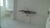 Apartamento, 2 quartos, 47 m² - Foto 4
