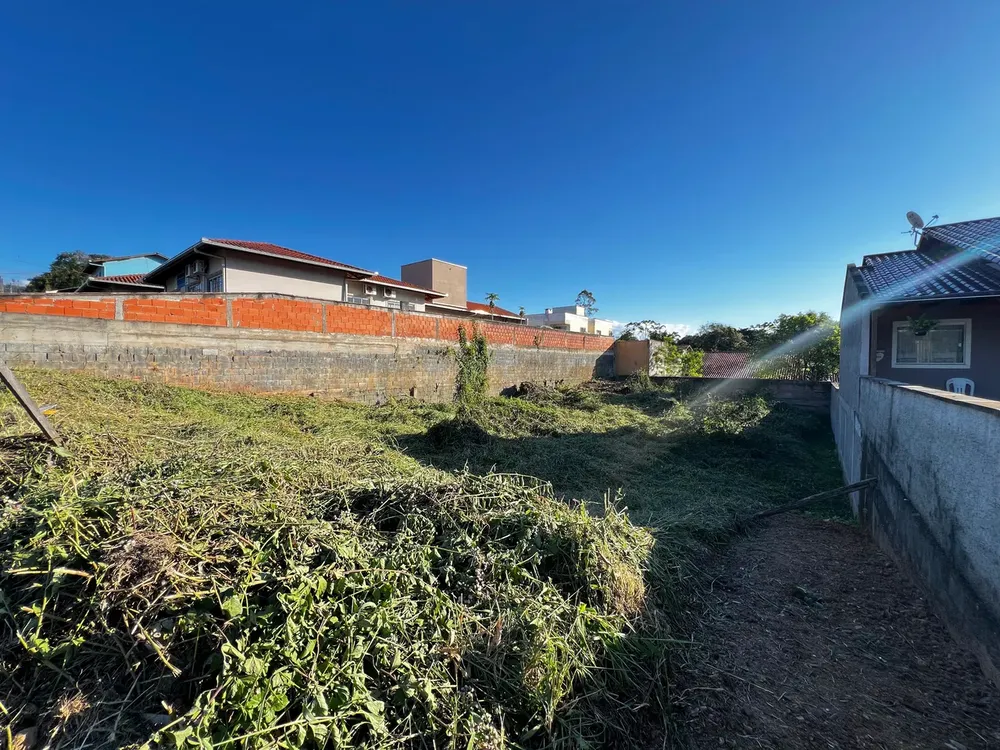 Terreno, 49 m² - Foto 3