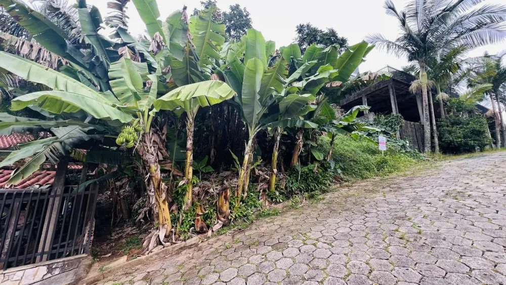 Terreno, 301 m² - Foto 4