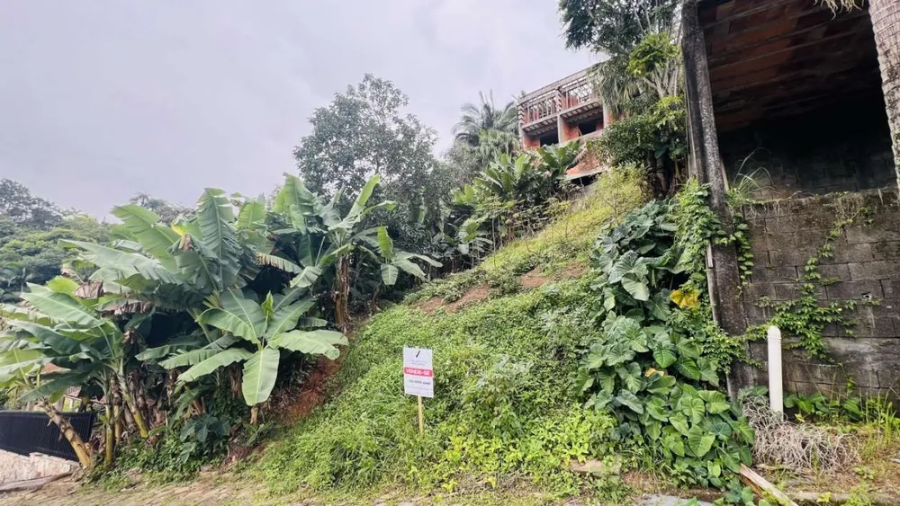 Terreno, 301 m² - Foto 1