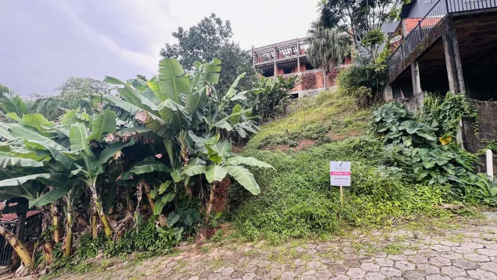 Terreno, 301 m² - Foto 3