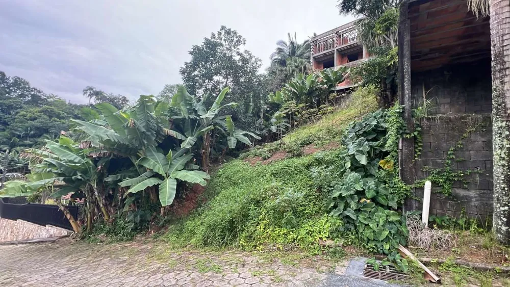 Terreno, 301 m² - Foto 2
