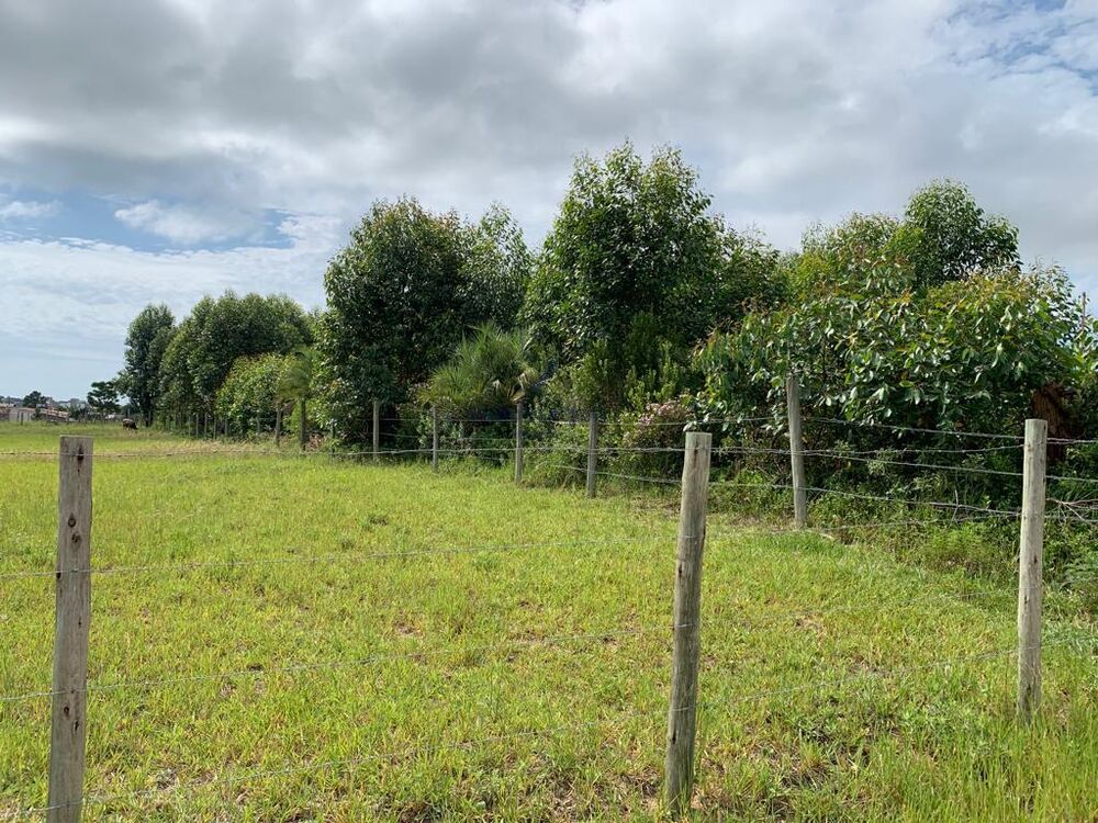 Terreno, 2634 m² - Foto 4