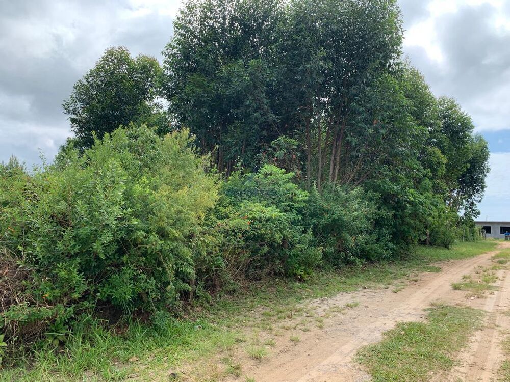 Terreno, 2634 m² - Foto 2