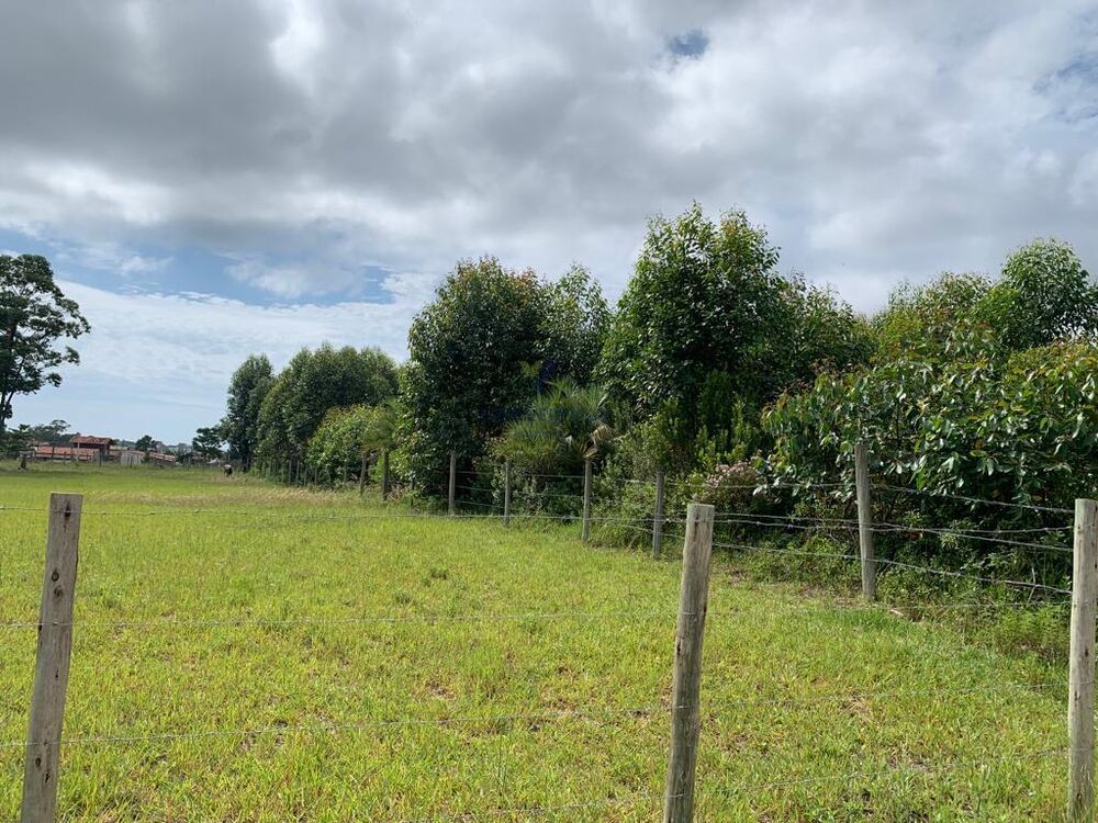 Terreno, 2634 m² - Foto 3