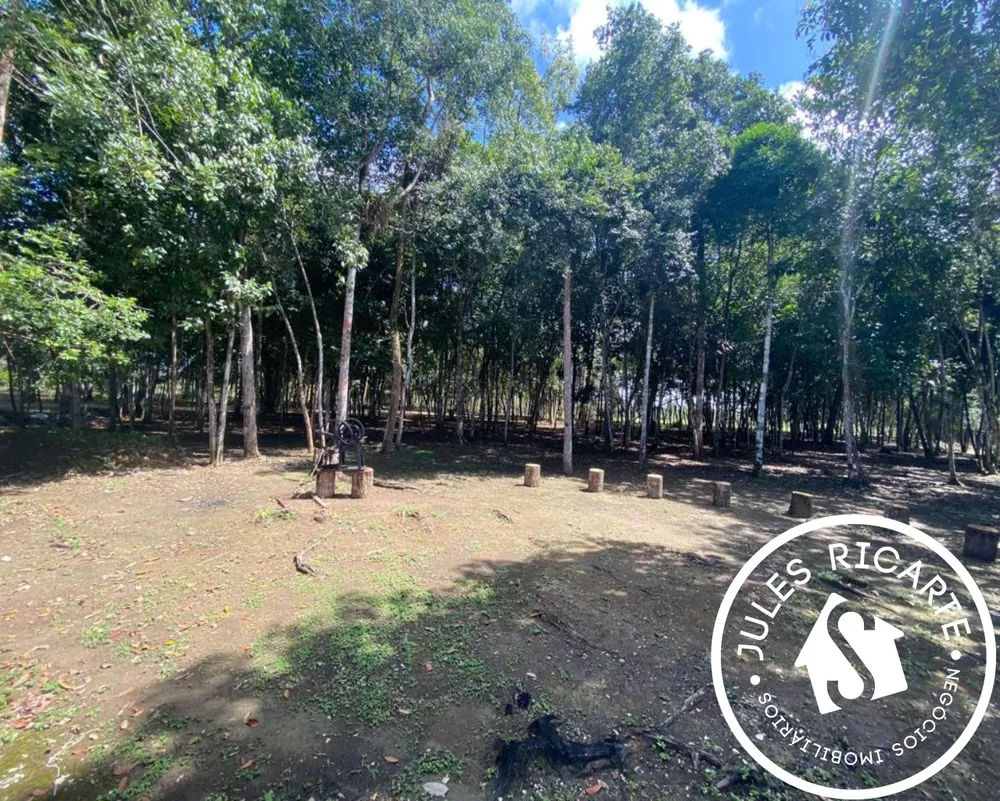 Chácara, 4 quartos, 3 hectares - Foto 7