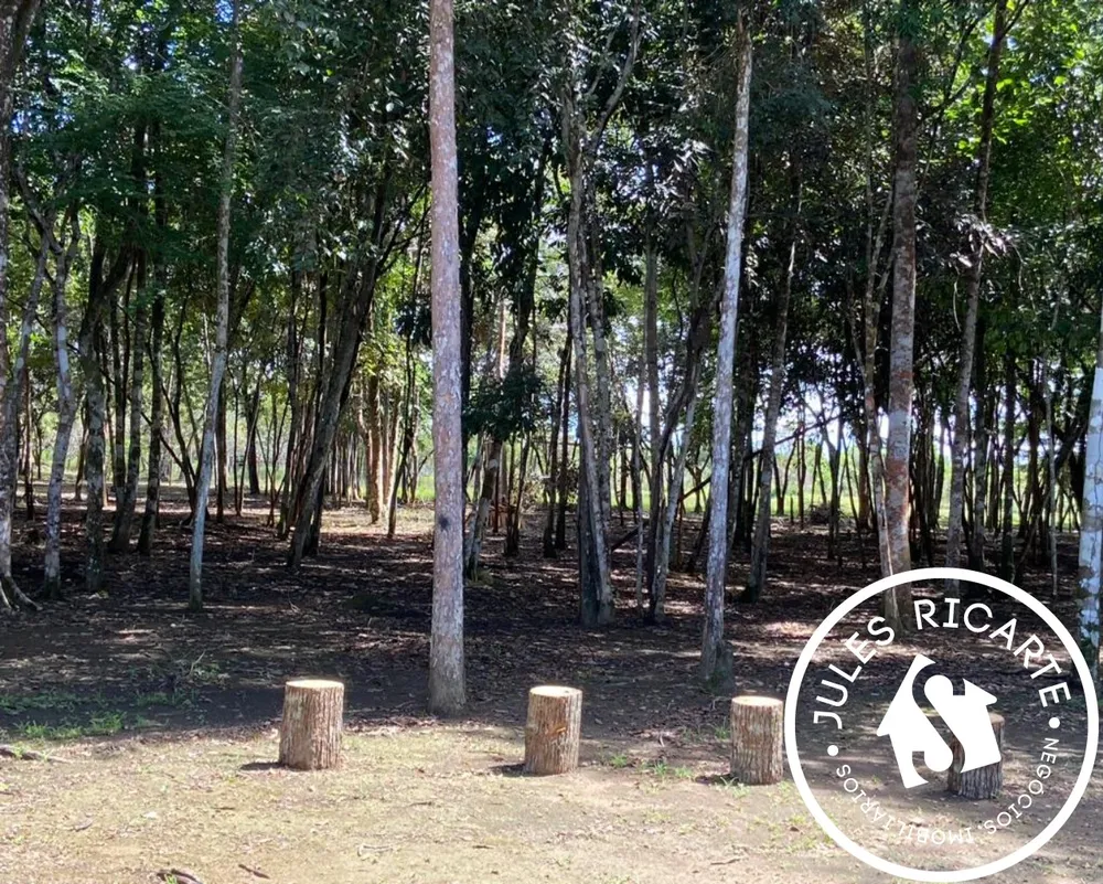 Chácara, 4 quartos, 3 hectares - Foto 18