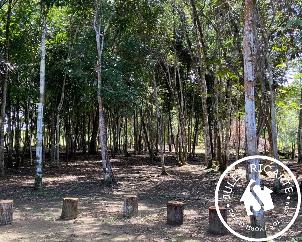 Chácara, 4 quartos, 3 hectares - Foto 16
