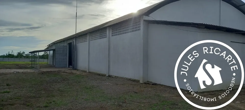 Depósito-Galpão - Foto 11
