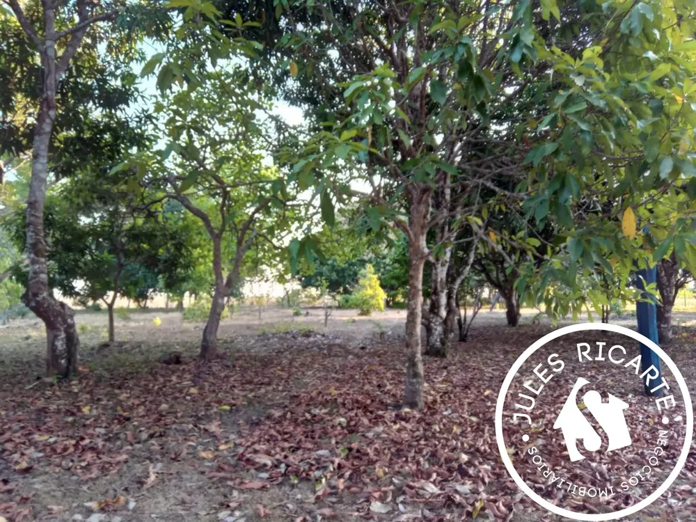 Chácara, 3 quartos, 39 hectares - Foto 13
