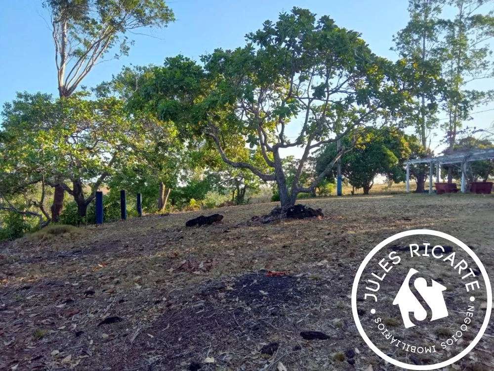 Chácara, 3 quartos, 39 hectares - Foto 5