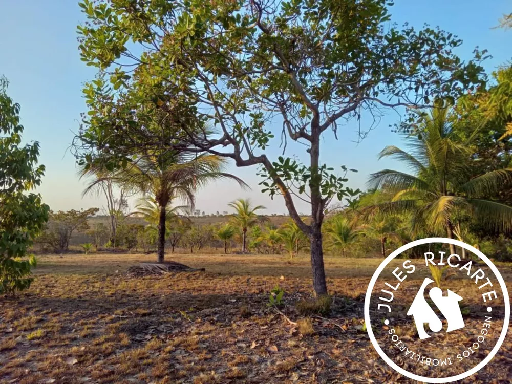 Fazenda à venda com 3 quartos, 390000m² - Foto 2