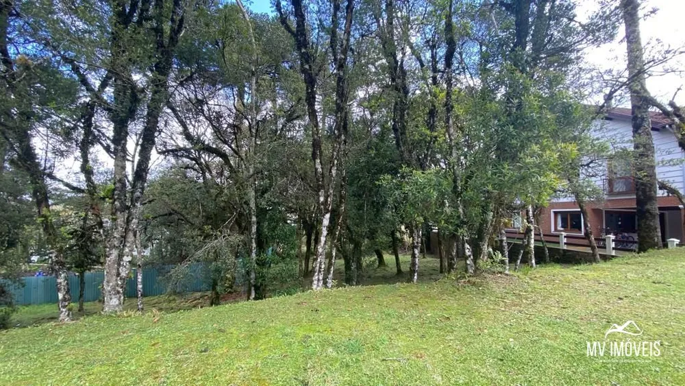 Terreno, 739 m² - Foto 2