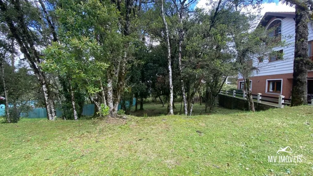 Terreno, 739 m² - Foto 3