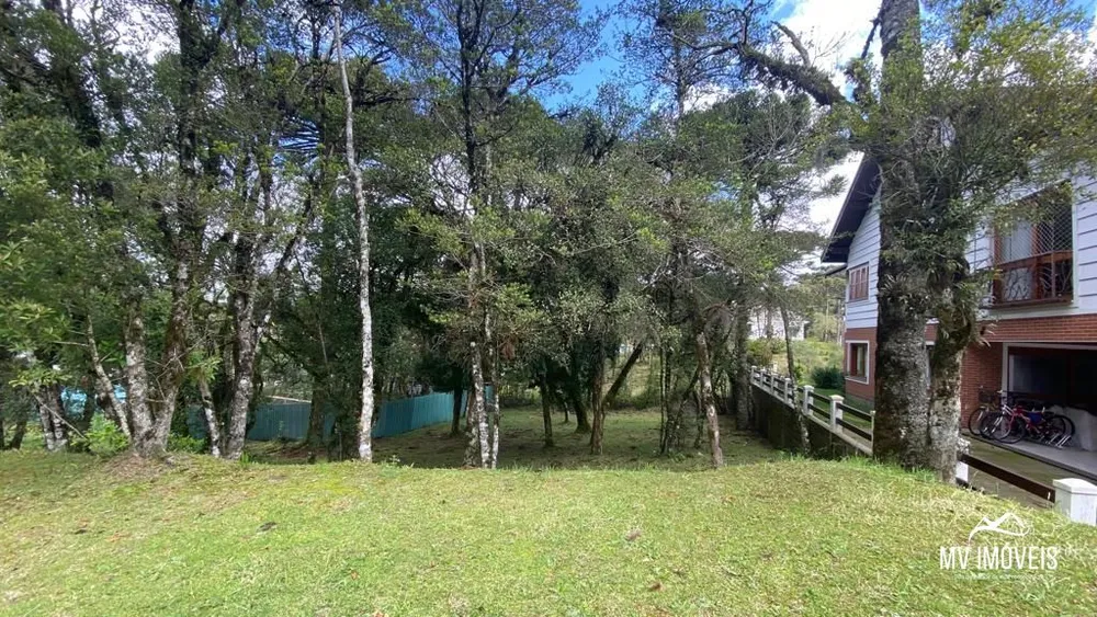 Terreno, 739 m² - Foto 4