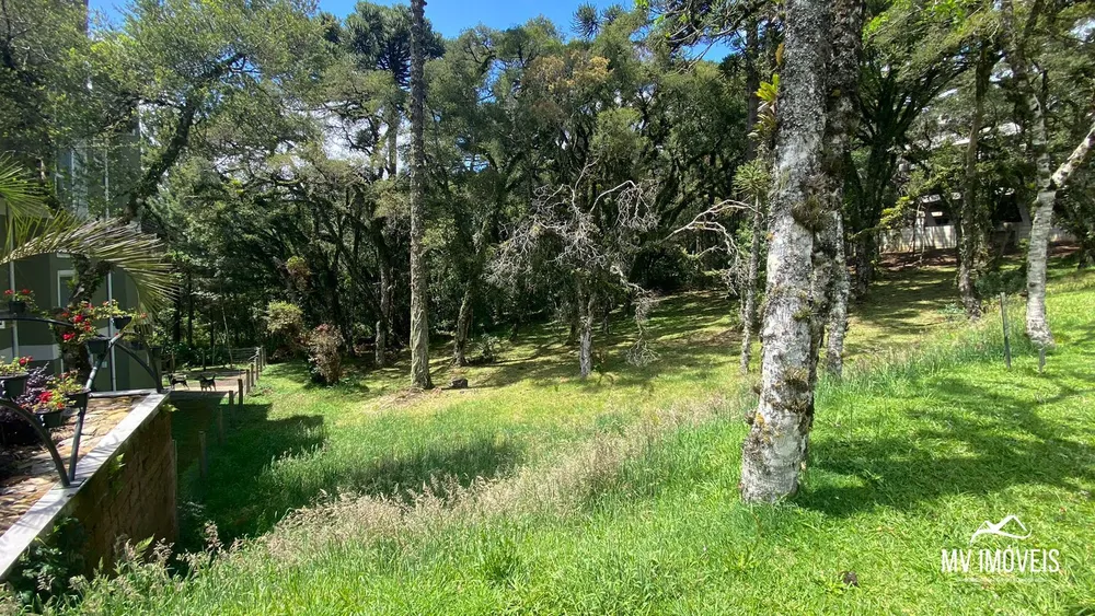 Terreno, 544 m² - Foto 3