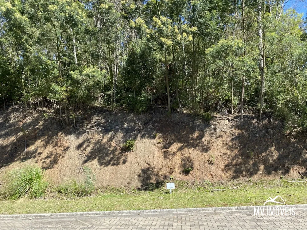 Terreno, 1304 m² - Foto 3