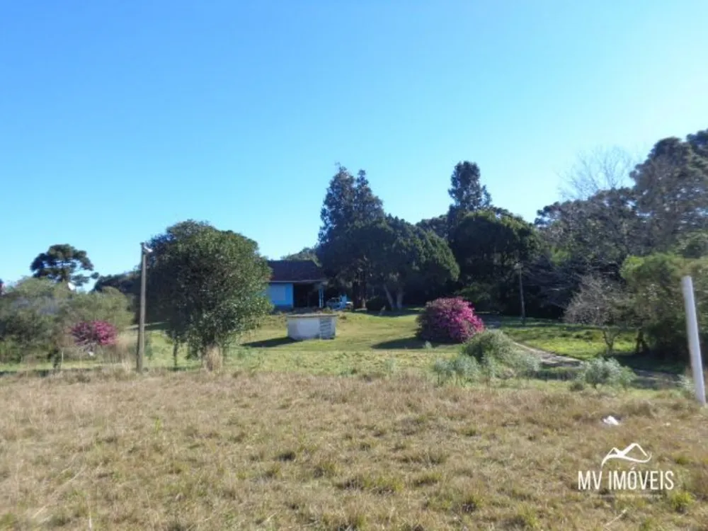 Terreno, 6026 m² - Foto 2