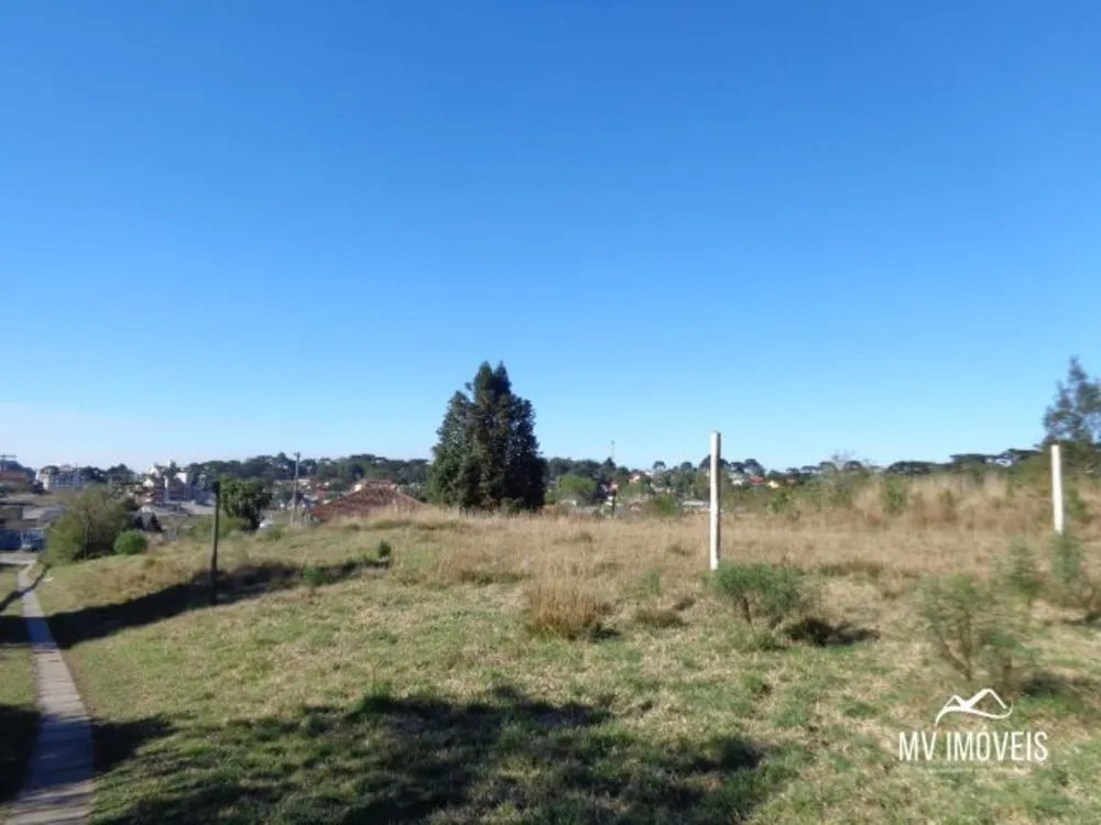 Terreno, 6026 m² - Foto 1