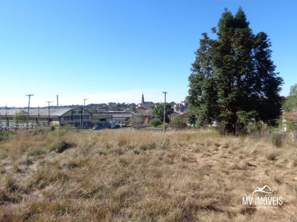 Terreno, 6026 m² - Foto 4