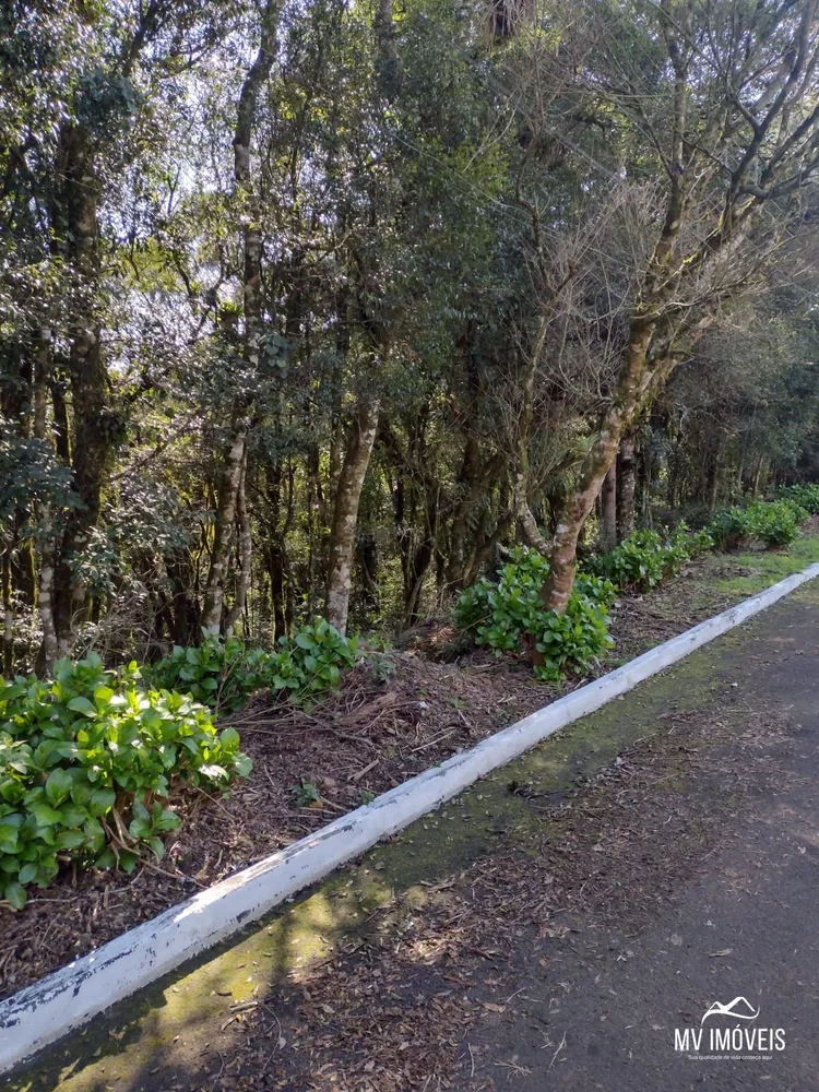 Terreno, 600 m² - Foto 2