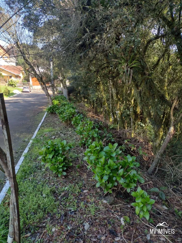 Terreno, 600 m² - Foto 3