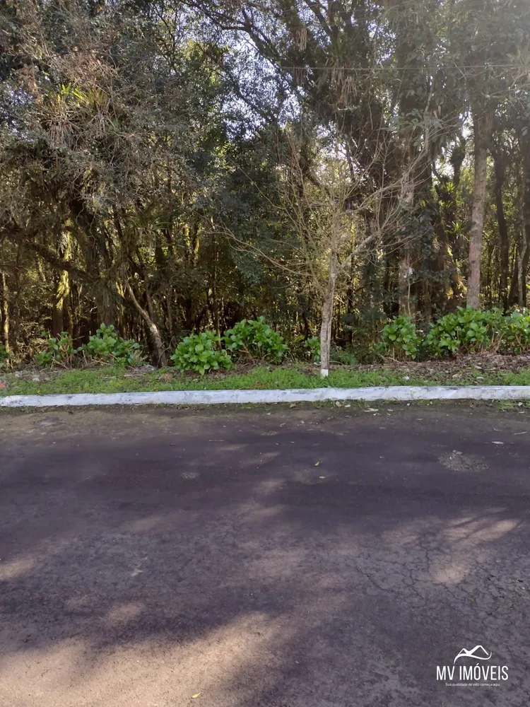 Terreno, 600 m² - Foto 1