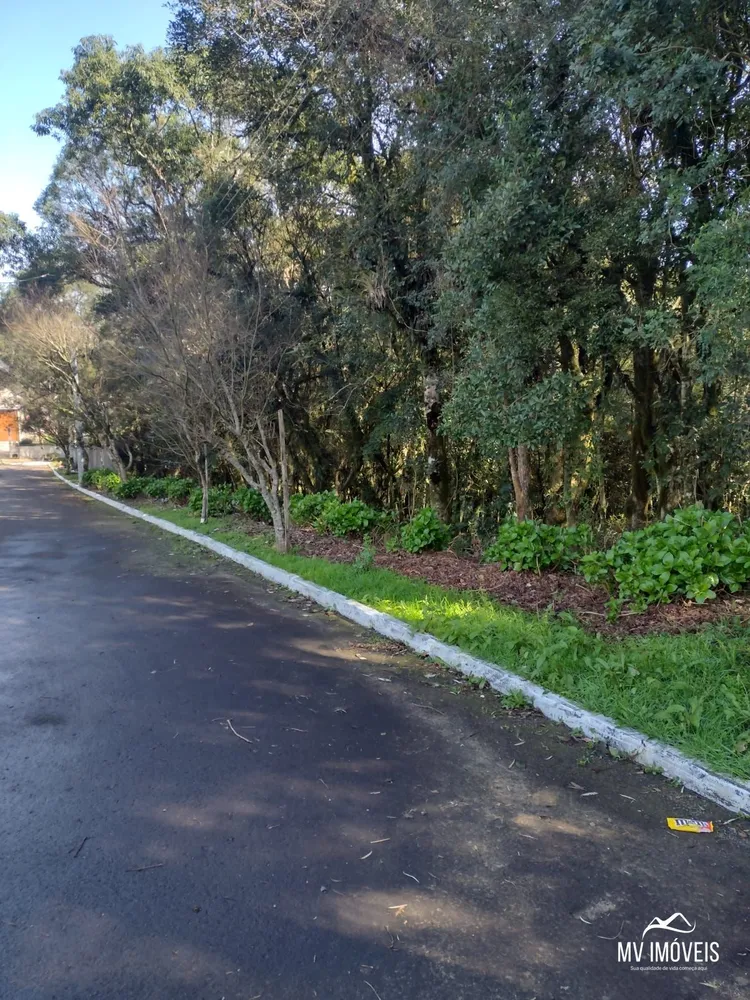 Terreno, 600 m² - Foto 4
