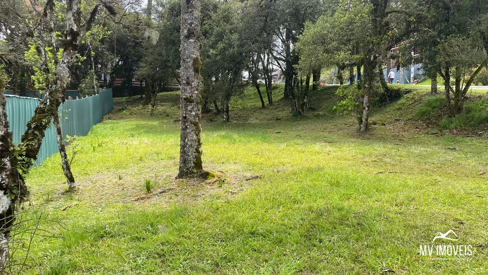 Terreno, 795 m² - Foto 3
