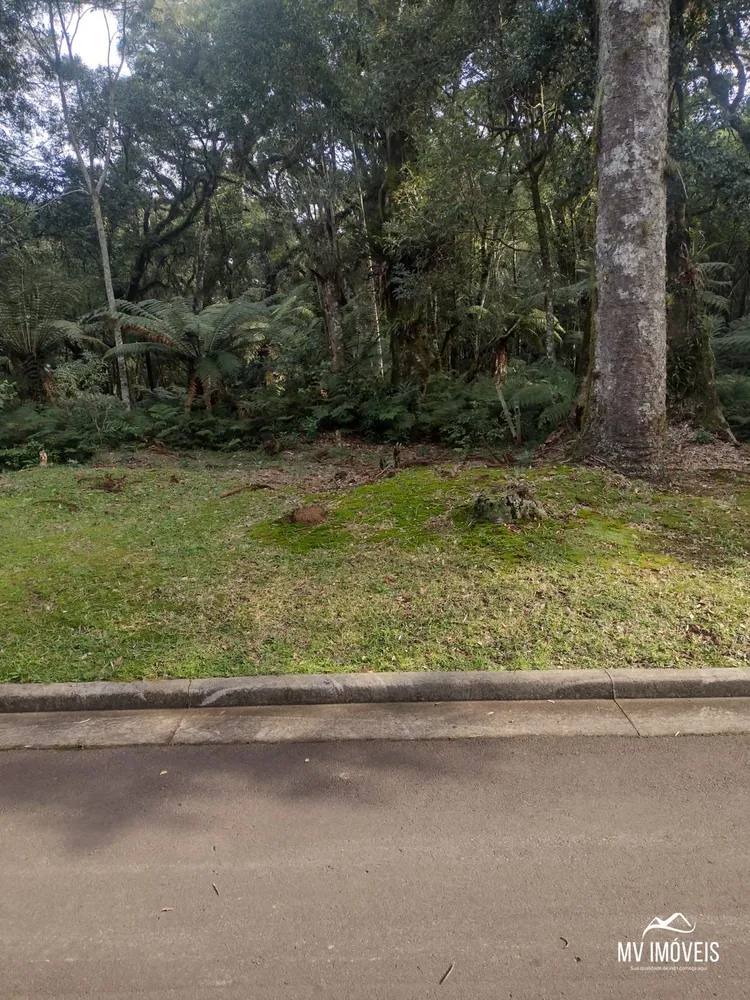 Terreno, 1284 m² - Foto 3