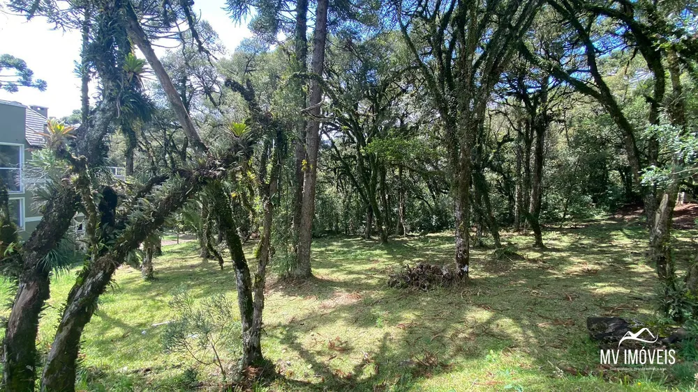 Terreno, 707 m² - Foto 3