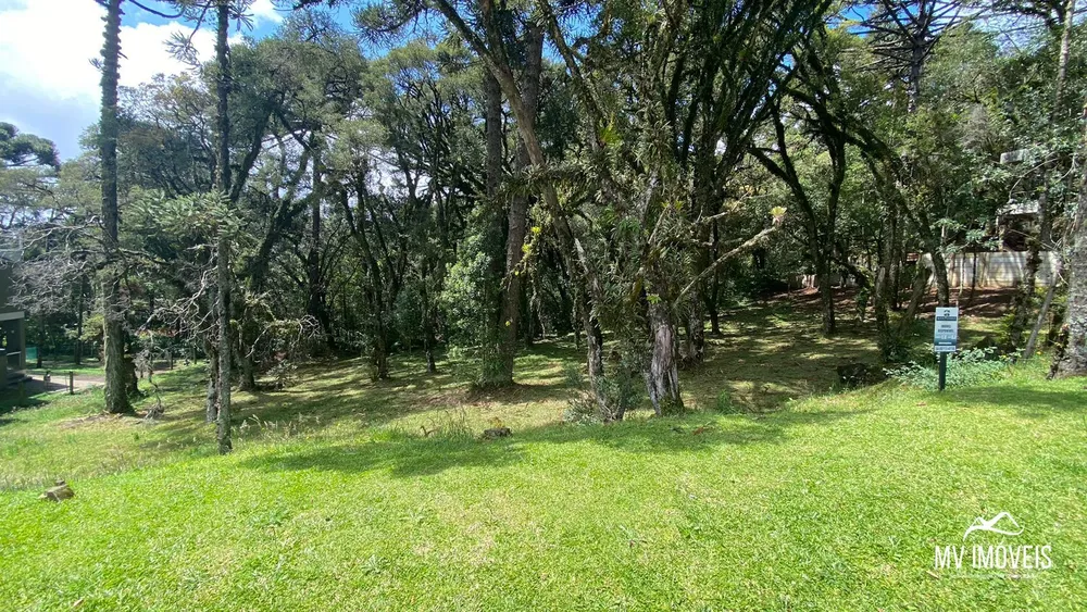 Terreno, 707 m² - Foto 2