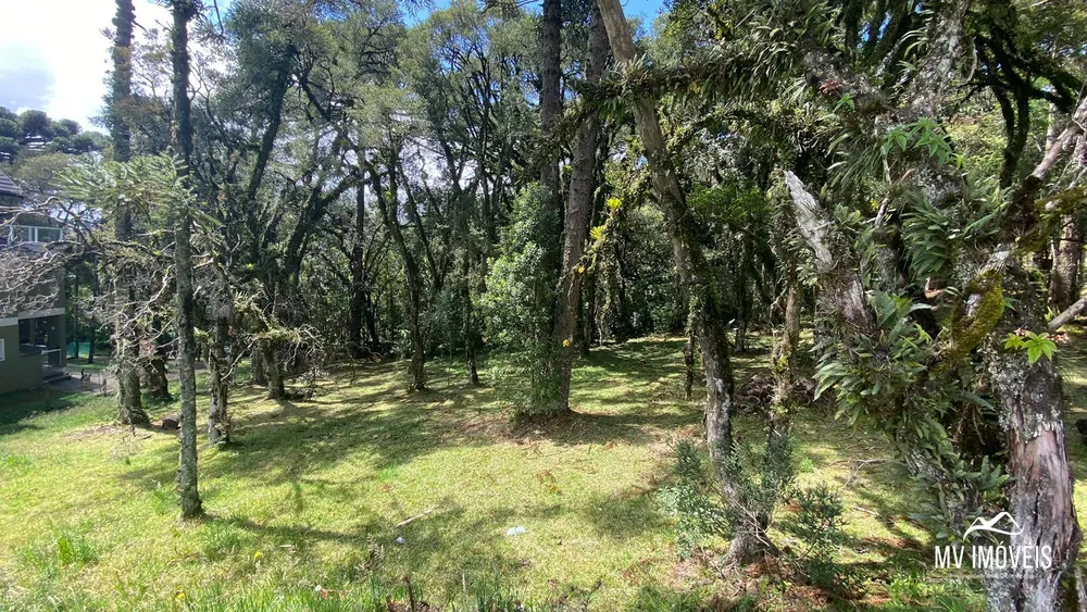 Terreno, 707 m² - Foto 4