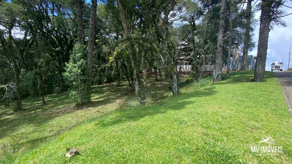 Terreno, 707 m² - Foto 1