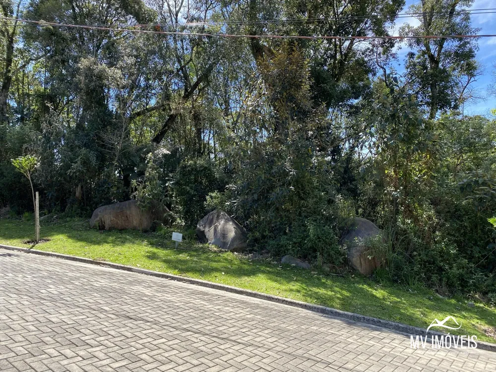 Terreno, 722 m² - Foto 4