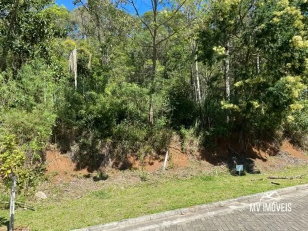 Terreno, 523 m² - Foto 1