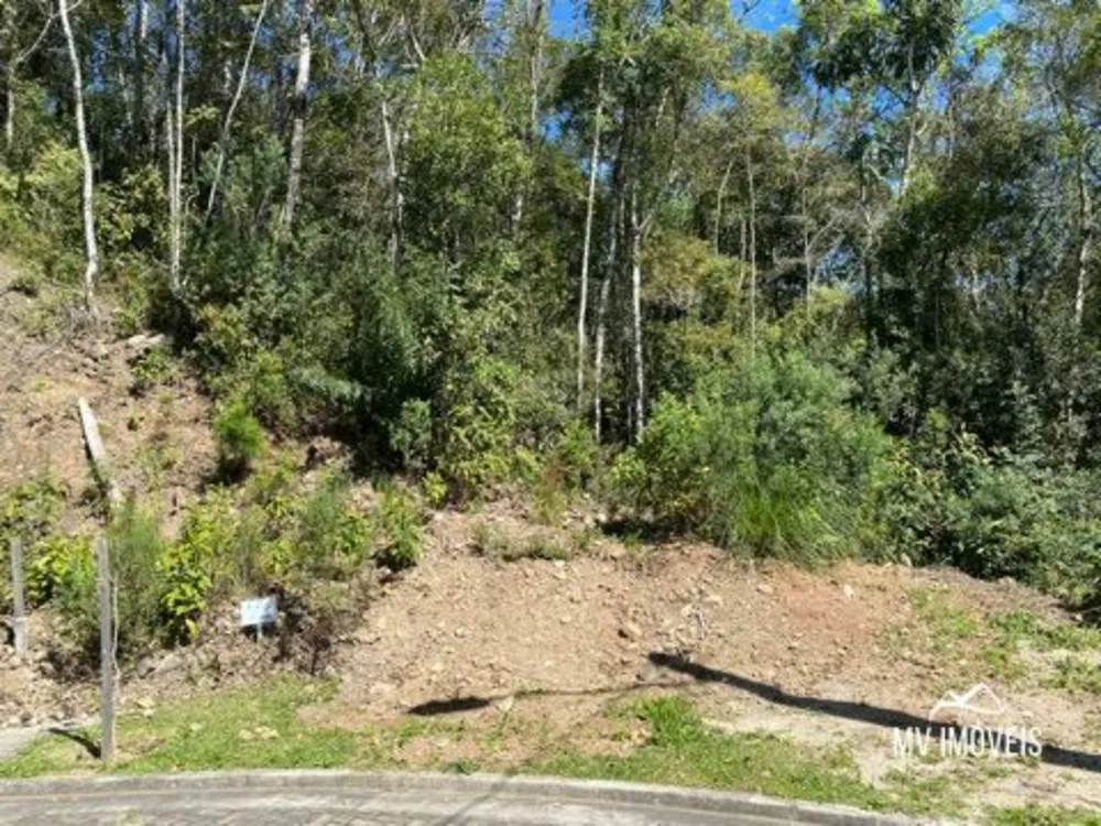 Terreno, 730 m² - Foto 3