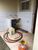 Casa, 2 quartos, 100 m² - Foto 4