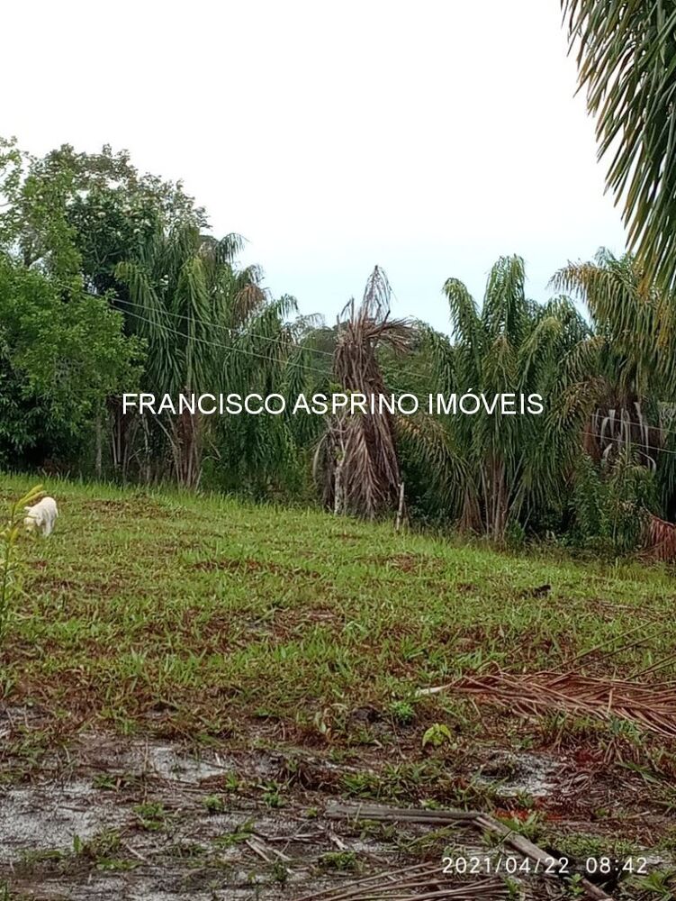 Sítio à venda com 2 quartos - Foto 2