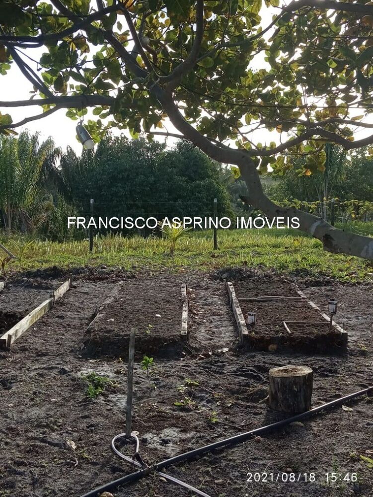Sítio à venda com 2 quartos - Foto 11