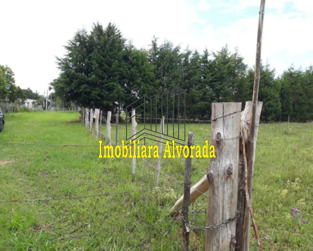 Sítio, 2 hectares - Foto 4
