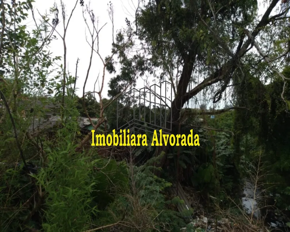 Terreno, 5000 m² - Foto 4