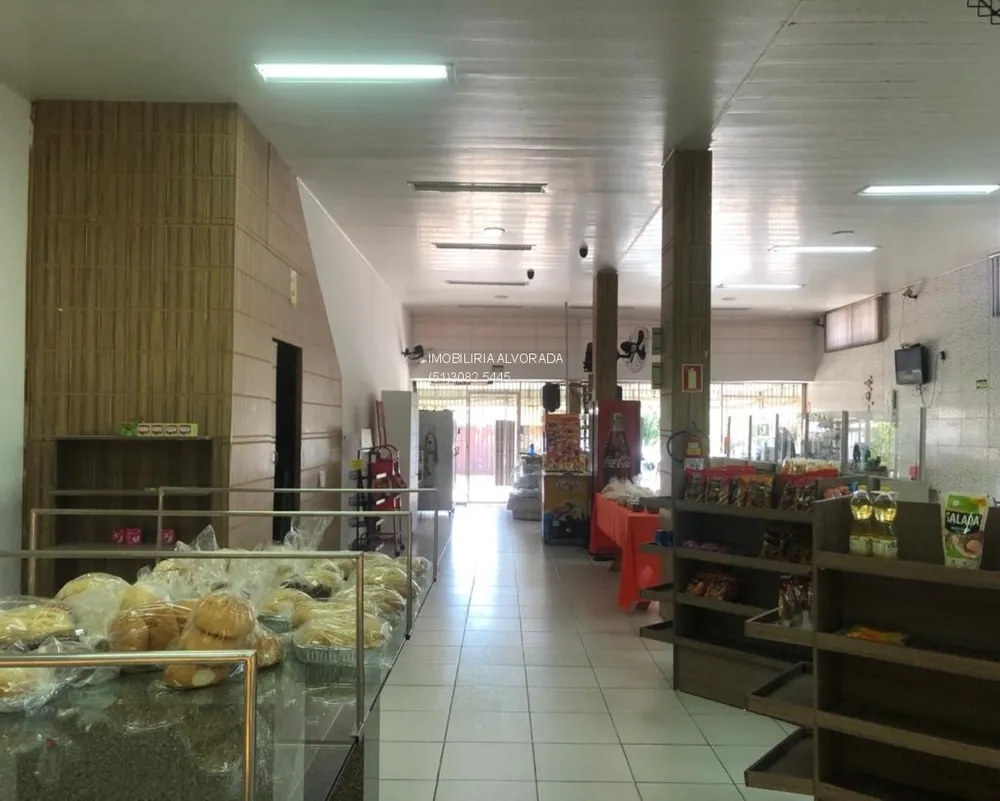 Loja-Salão, 500 m² - Foto 3