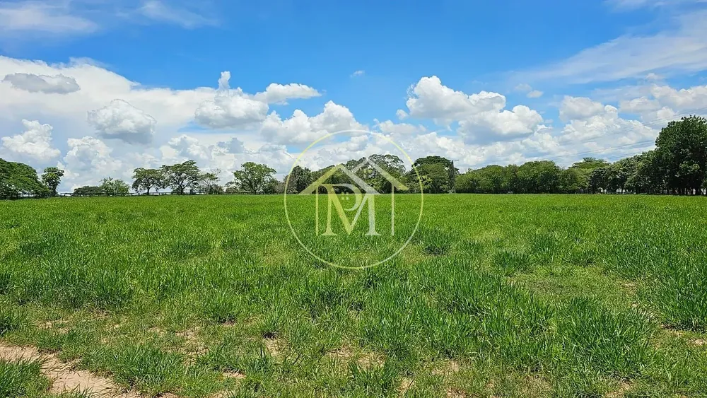 Fazenda, 24 hectares - Foto 3