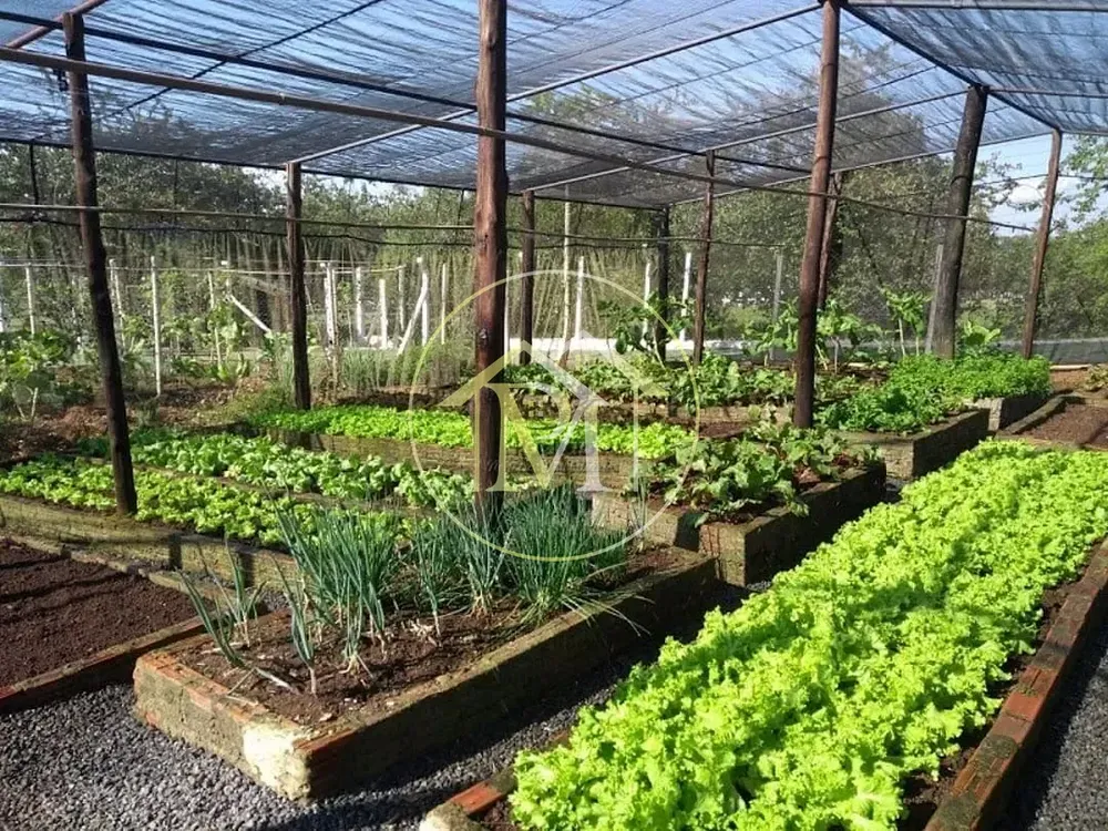 Sítio, 5 quartos, 15 hectares - Foto 7