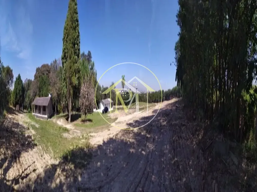 Terreno, 10 hectares - Foto 10