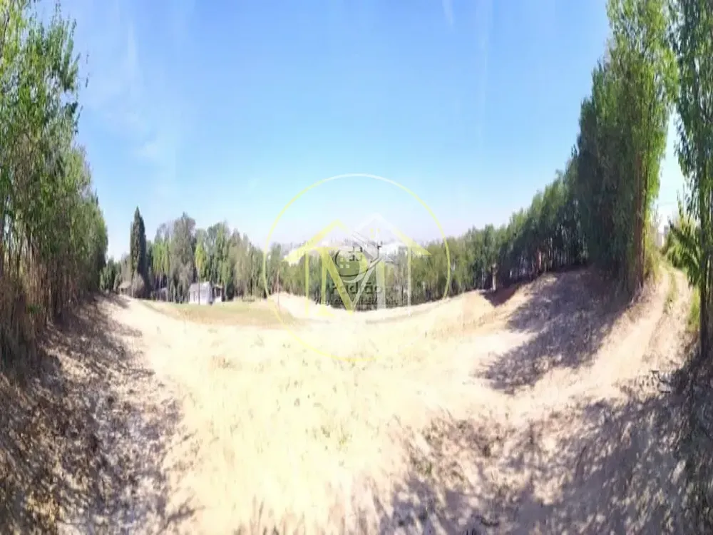 Terreno, 10 hectares - Foto 7