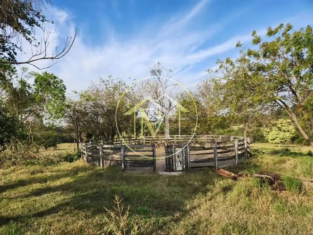 Fazenda, 17 hectares - Foto 11